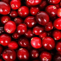 cranberries800.png